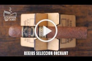 Regius Seleccion Orchant